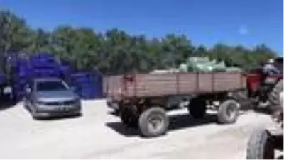 Son dakika! İnsuyu fasulyesi 3 lira 60 kuruştan alıcı buluyor Son dakika! İnsuyu fasulyesi 3 lira 60 kuruştan alıcı buluyor