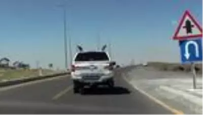 Son dakika haberleri... Kayseri'nin tarihi, doğal ve kültürel mirası JAK timlerine emanet Son dakika haberleri... Kayseri'nin tarihi, doğal ve kültürel mirası JAK timlerine emanet