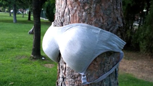 Parktaki ağaçlara kadın iç çamaşırı asılması vatandaşların tepkisi çekti