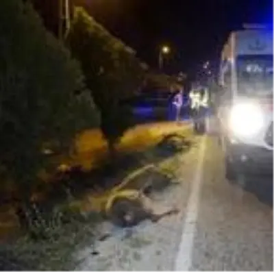 Taksi sürüye çarptı; 3 kişi yaralandı, 18 koyun telef oldu