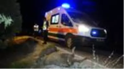 Taksi sürüye çarptı; 3 kişi yaralandı, 18 koyun telef oldu