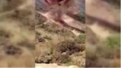 Son Dakika | Teröristlere ait gıda ve yaşam malzemeleri bulundu Son Dakika | Teröristlere ait gıda ve yaşam malzemeleri bulundu
