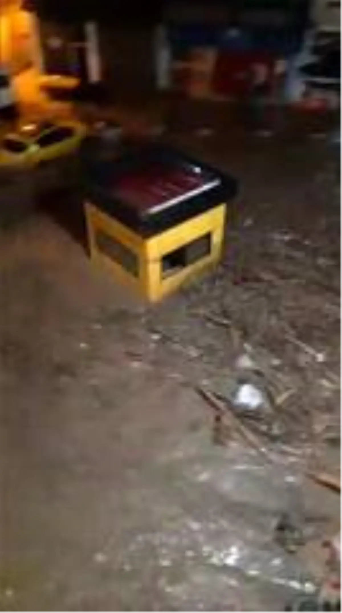 Dereli sokakları şiddetli yağış nedeniyle adeta nehre döndü