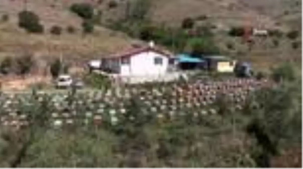 Doğuda 'Bal sağım dönemi' başladı