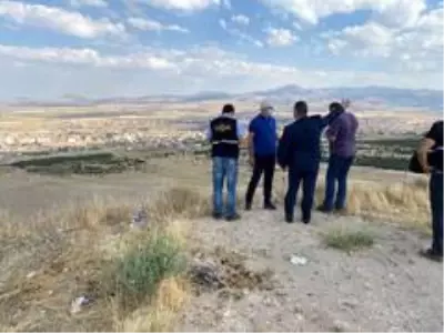 Emirdağ'da ağaçlandırma projesi Emirdağ'da ağaçlandırma projesi