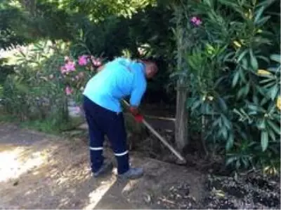 İzmit parkları bakımdan geçiyor İzmit parkları bakımdan geçiyor