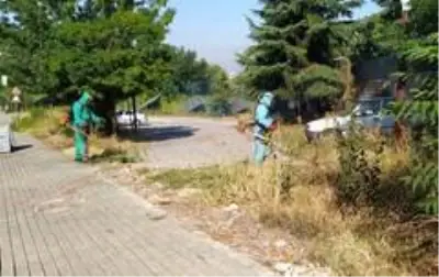 Son dakika haberi: İzmit'te otlar temizlenerek görsel kirlilik önleniyor Son dakika haberi: İzmit'te otlar temizlenerek görsel kirlilik önleniyor
