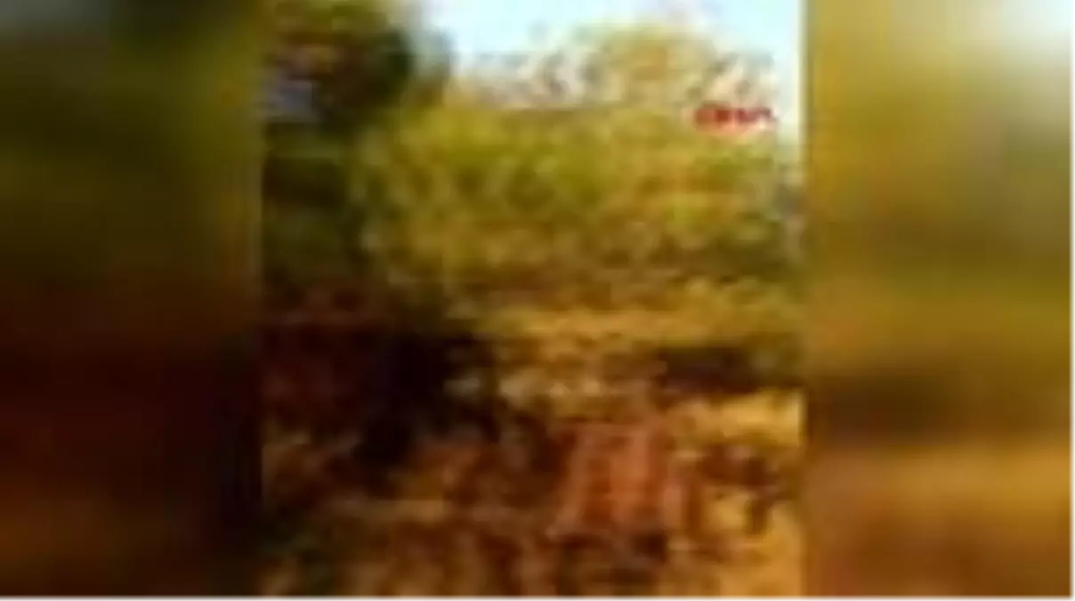 Son dakika! Manavgat'ta orman yangını