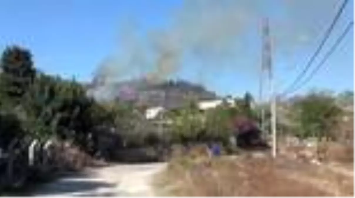 Son dakika haberleri! Manavgat'ta orman yangını çıktı (3)