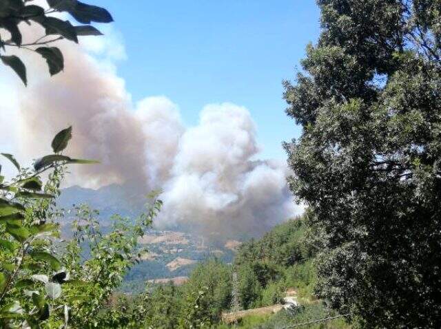 Adana'daki orman yangınında kundaklama şüphesi