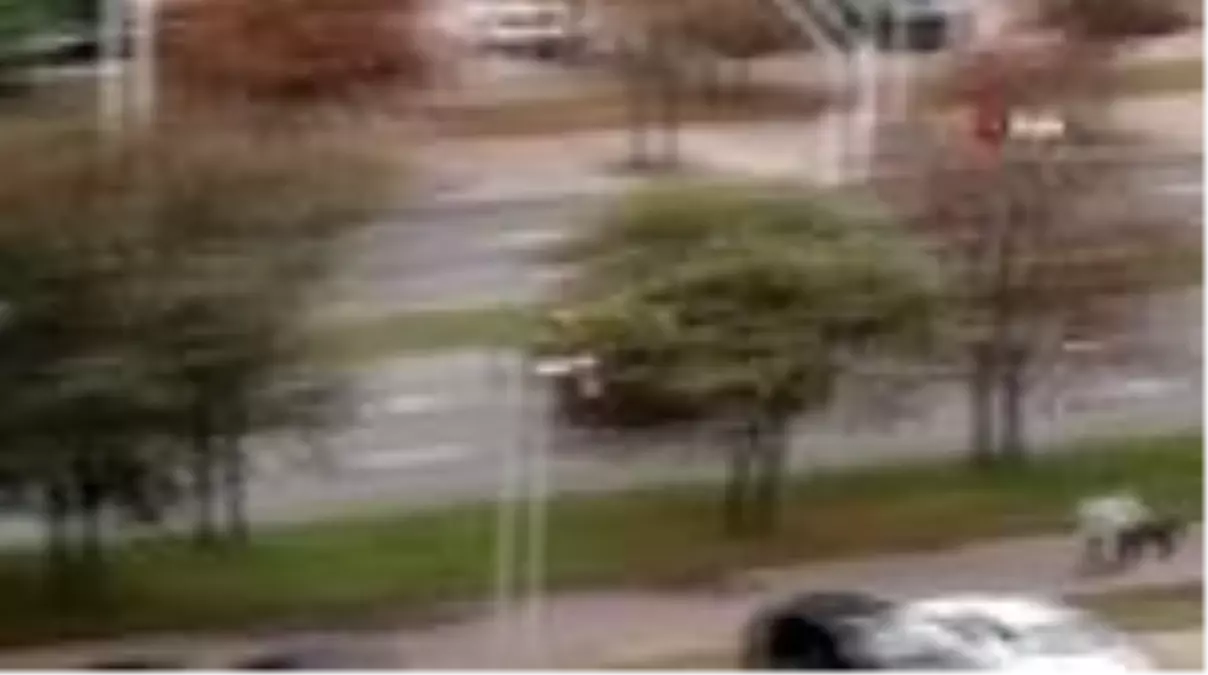 Son dakika haber | - Belarus Devlet Başkanı Lukaşenko, elinde silahla başkanlık konutuna geldi