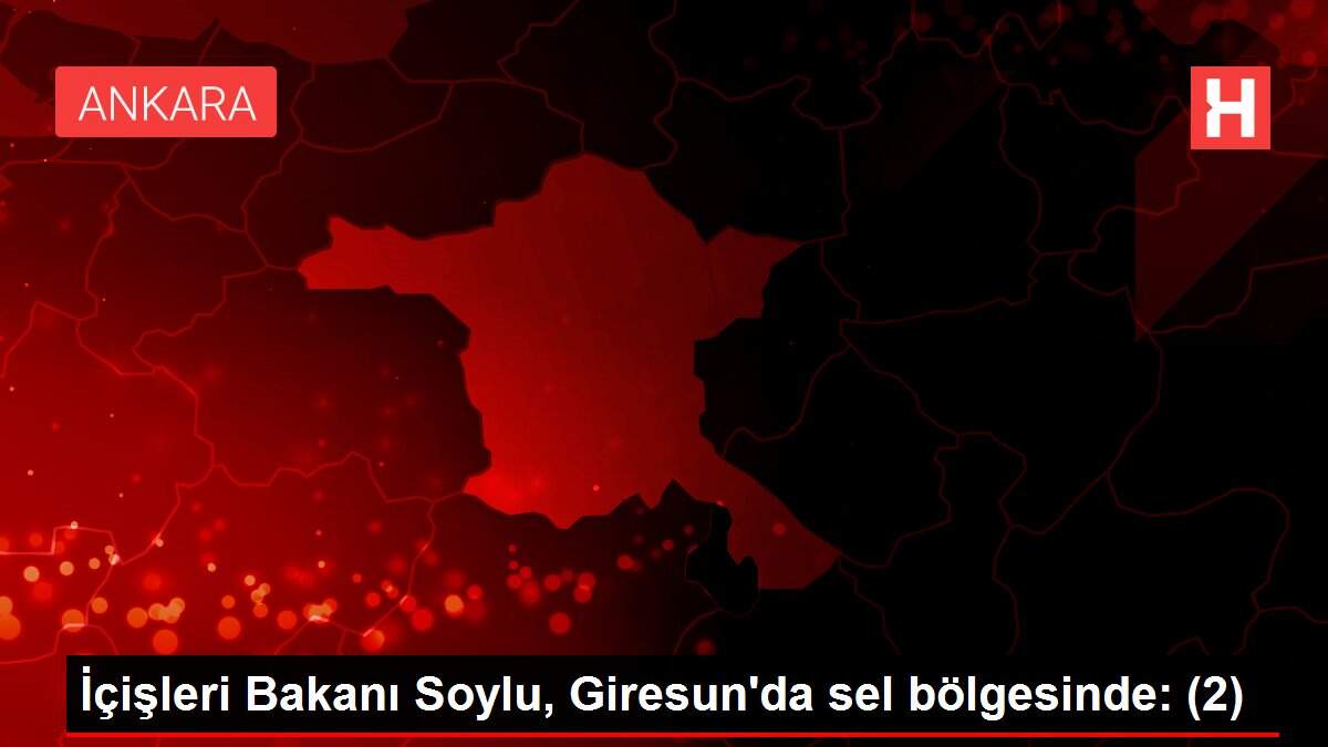 Son dakika haber! İçişleri Bakanı Soylu, Giresun'da sel bölgesinde: (2)
