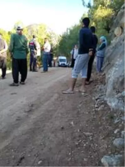 Kamyonet uçuruma yuvarlandı: 7 yaralı Kamyonet uçuruma yuvarlandı: 7 yaralı