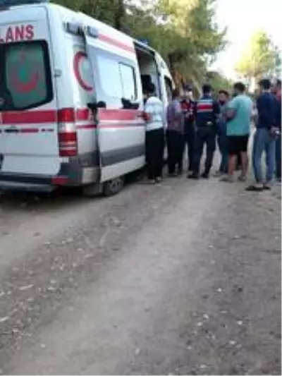 Kamyonet uçuruma yuvarlandı: 7 yaralı Kamyonet uçuruma yuvarlandı: 7 yaralı