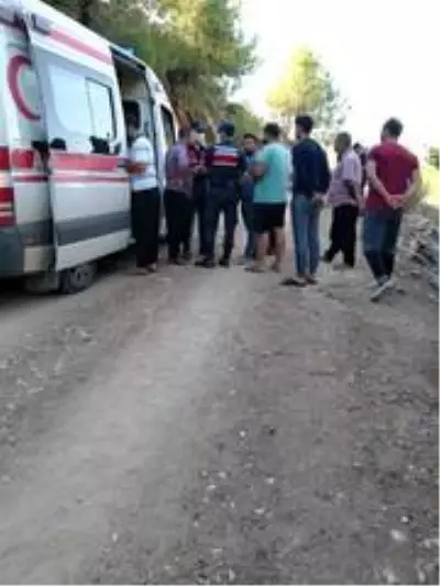 Kamyonet uçuruma yuvarlandı: 7 yaralı Kamyonet uçuruma yuvarlandı: 7 yaralı