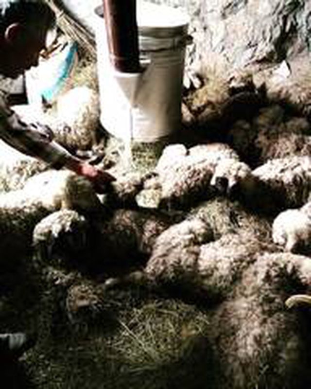 Van'da su baskınları