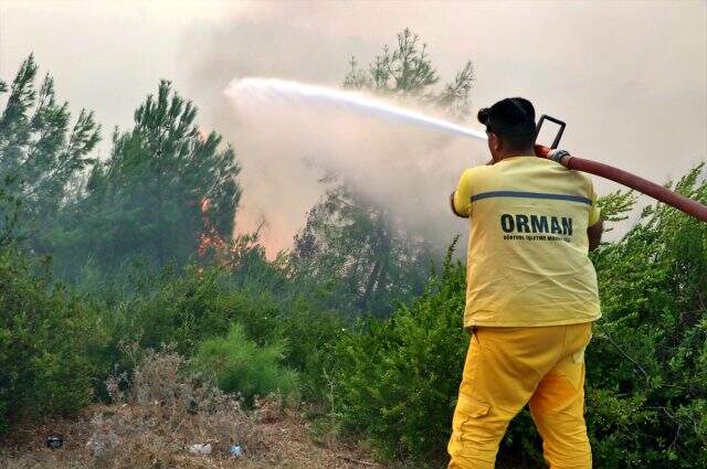 Adana'da havanın aydınlanmasıyla yangına havadan müdahale tekrar başladı