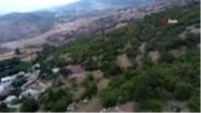 Sivas'ta doğada kendiliğinden yetişen tonlarca fındık dalında çürüyor
