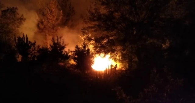 Kozan'daki orman tam 36 saattir yanıyor! Tahribat çok büyük