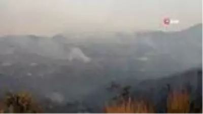 Son Dakika: Kozan'da yangına müdahale sürüyor Son Dakika: Kozan'da yangına müdahale sürüyor