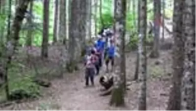 Alternatif turizme yönelen Batı Karadeniz'de yeni kamp alanları ve trekking rotaları belirleniyor Alternatif turizme yönelen Batı Karadeniz'de yeni kamp alanları ve trekking rotaları belirleniyor