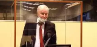 Srebrenitsa: Bosna Savaşı'nda soykırım yaptığı için ceza alan Ratko Mladiç temyize gidiyor Srebrenitsa: Bosna Savaşı'nda soykırım yaptığı için ceza alan Ratko Mladiç temyize gidiyor
