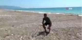 Mavikent: Cartta caretta yuvalarının kepçe ile yıkılmasına 442 bin lira idari para cezası Mavikent: Cartta caretta yuvalarının kepçe ile yıkılmasına 442 bin lira idari para cezası