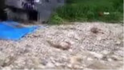 Son Dakika | Giresun'un Yağlıdere ilçesi Ortaköy yardım bekliyor Son Dakika | Giresun'un Yağlıdere ilçesi Ortaköy yardım bekliyor