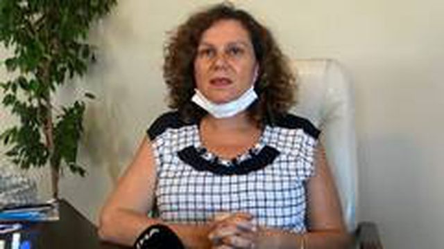 İhaleyle ava çıkarılan 7 geyik mahkeme kararıyla kurtarıldı
