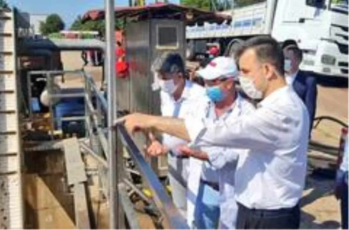 Türk Şeker'in domatesine çiftçilerden ilgi