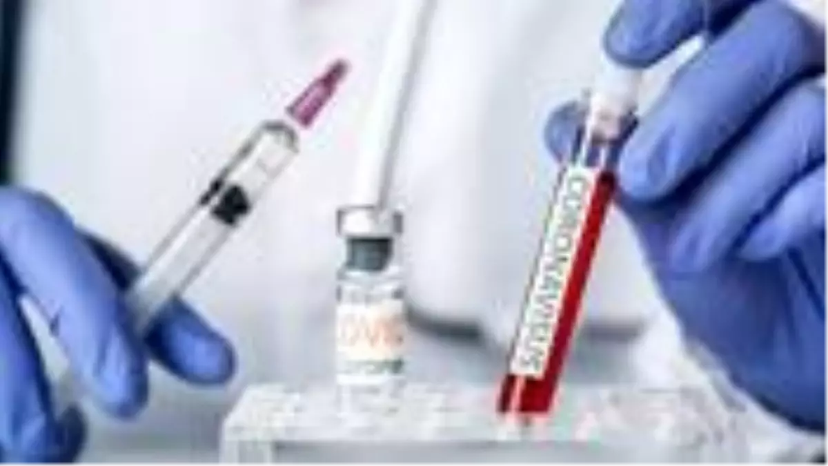 ABD'li ilaç şirketi Moderna'nın geliştirdiği korona aşısı, yaşlı ve gençlerde benzer bağışıklık tepkisi gösterdi