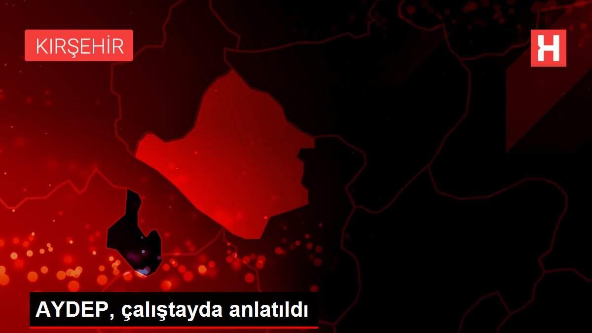 AYDEP, çalıştayda anlatıldı
