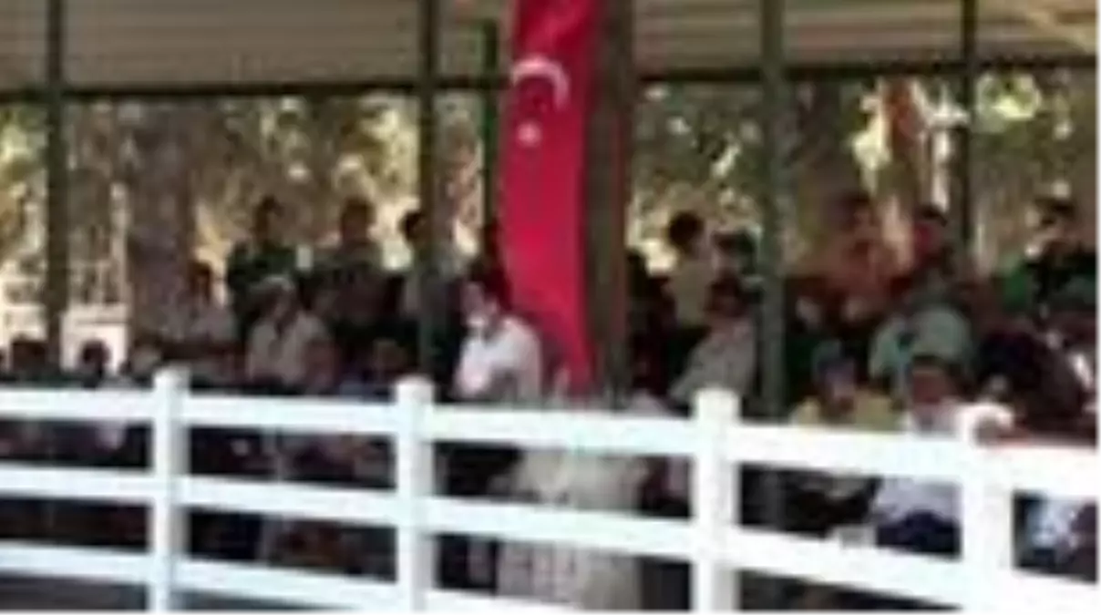 Ev fiyatına tay, 6,6 milyon TL gelir elde edildi