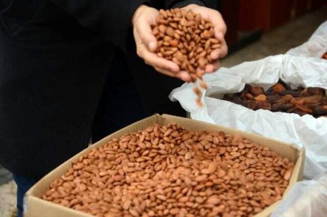 Kayısı çekirdeği Malatya ekonomisine yıllık 20 milyon dolar katkı sağlıyor