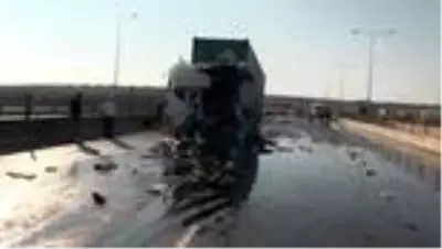Son Dakika: Yağ tankerine arkadan çarpan tırın sürücüsü öldü Son Dakika: Yağ tankerine arkadan çarpan tırın sürücüsü öldü
