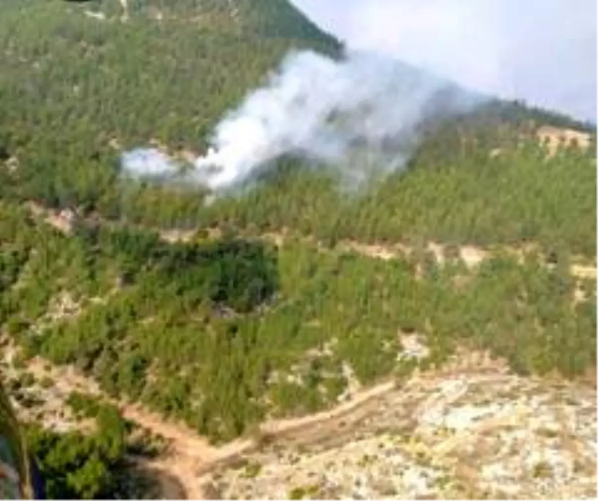 Kozan'da bir yangın daha