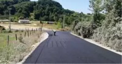 Selde tahrip olan yollar asfaltlandı Selde tahrip olan yollar asfaltlandı