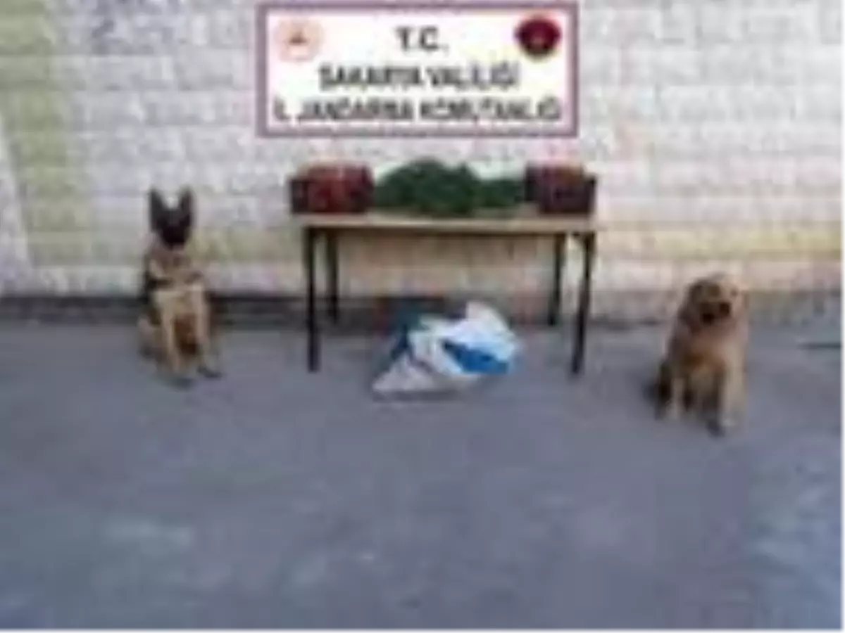 Şila ve Çita'lı aramada araçta uyuşturucu bulundu