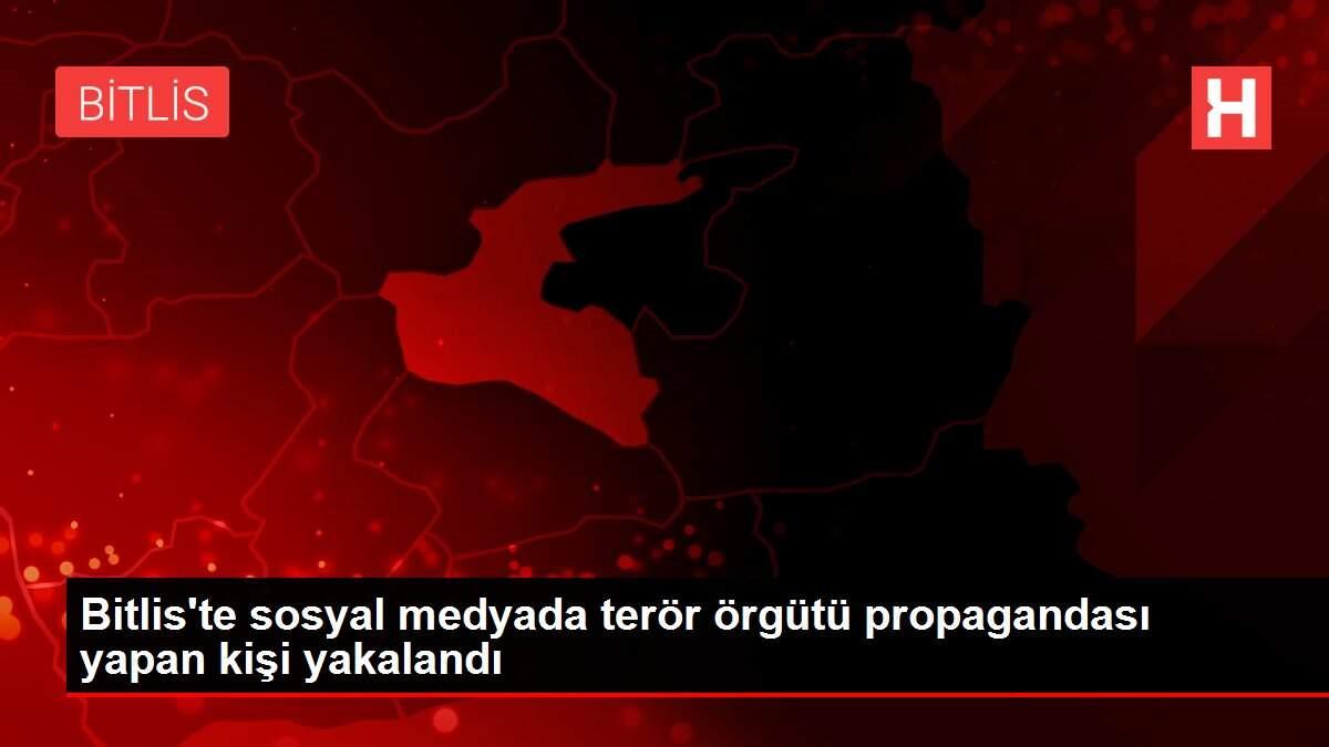 Bitlis'te sosyal medyada terör örgütü propagandası yapan kişi yakalandı Bitlis'te sosyal medyada terör örgütü propagandası yapan kişi yakalandı