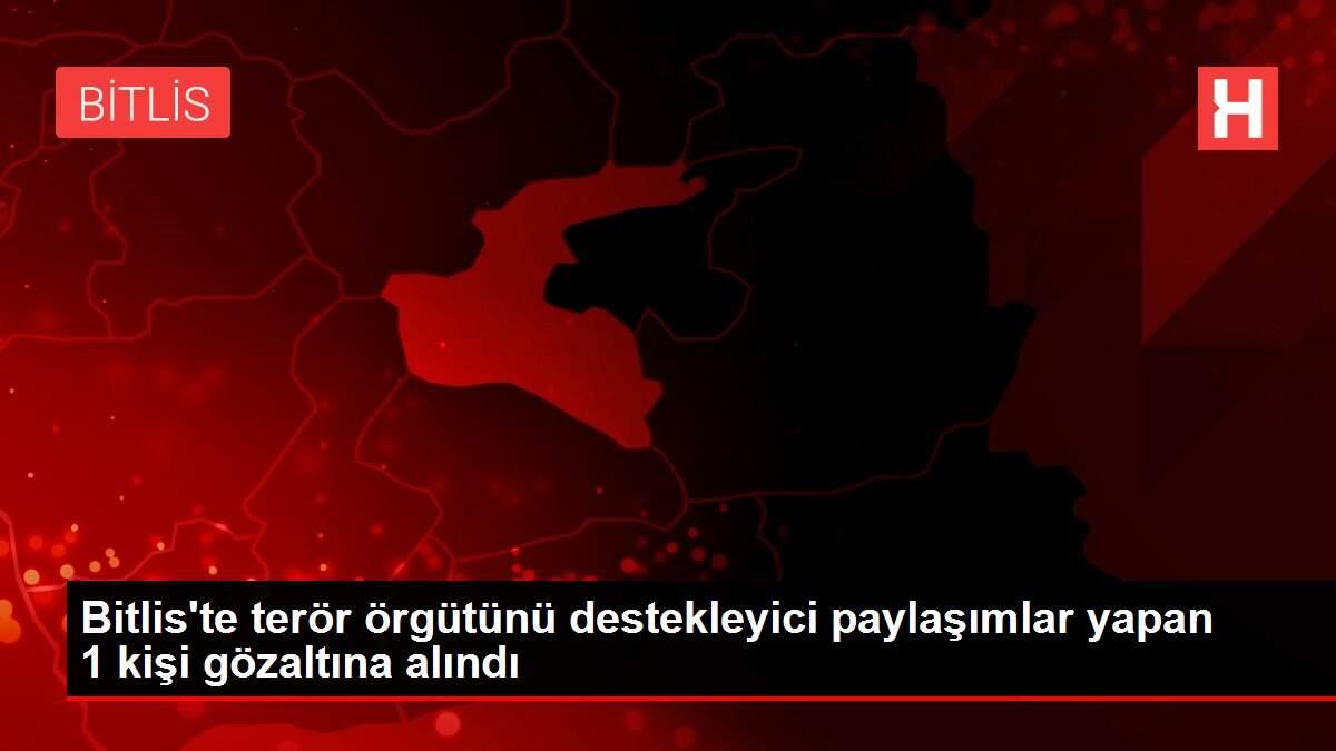 Bitlis'te terör örgütünü destekleyici paylaşımlar yapan 1 kişi gözaltına alındı Bitlis'te terör örgütünü destekleyici paylaşımlar yapan 1 kişi gözaltına alındı