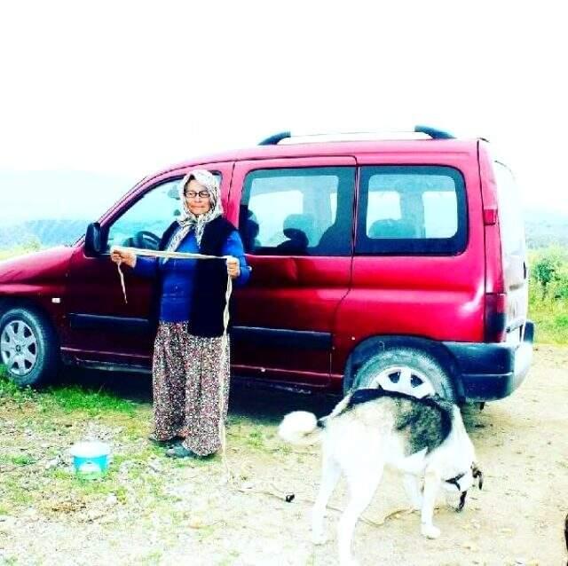 Hafif ticari araç, kontrolden çıkarak uçurumdan yuvarlandı: 1 ölü