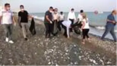Kumsal temizliği yapanlara deniz kaplumbağası sürprizi Kumsal temizliği yapanlara deniz kaplumbağası sürprizi