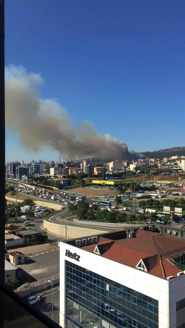 Maltepe'de ormanlık alanda yangın çıktı! İtfaiye ekiplerinin müdahalesi sürüyor