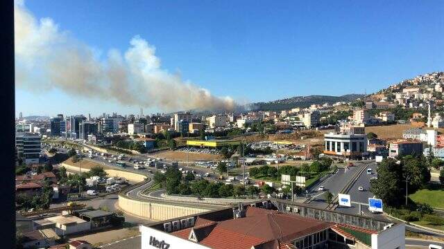 Maltepe'de ormanlık alanda yangın çıktı! İtfaiye ekiplerinin müdahalesi sürüyor