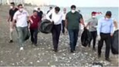 Mersin'de caretta caretta yavruları denizle buluşuyor Mersin'de caretta caretta yavruları denizle buluşuyor