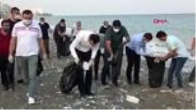 Mersin'de caretta caretta yavruları denizle buluşuyor Mersin'de caretta caretta yavruları denizle buluşuyor