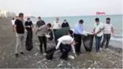 Mersin'de caretta caretta yavruları denizle buluşuyor Mersin'de caretta caretta yavruları denizle buluşuyor
