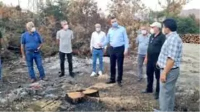 Nilüfer'de ağaç dikme seferberliği başlıyor Nilüfer'de ağaç dikme seferberliği başlıyor