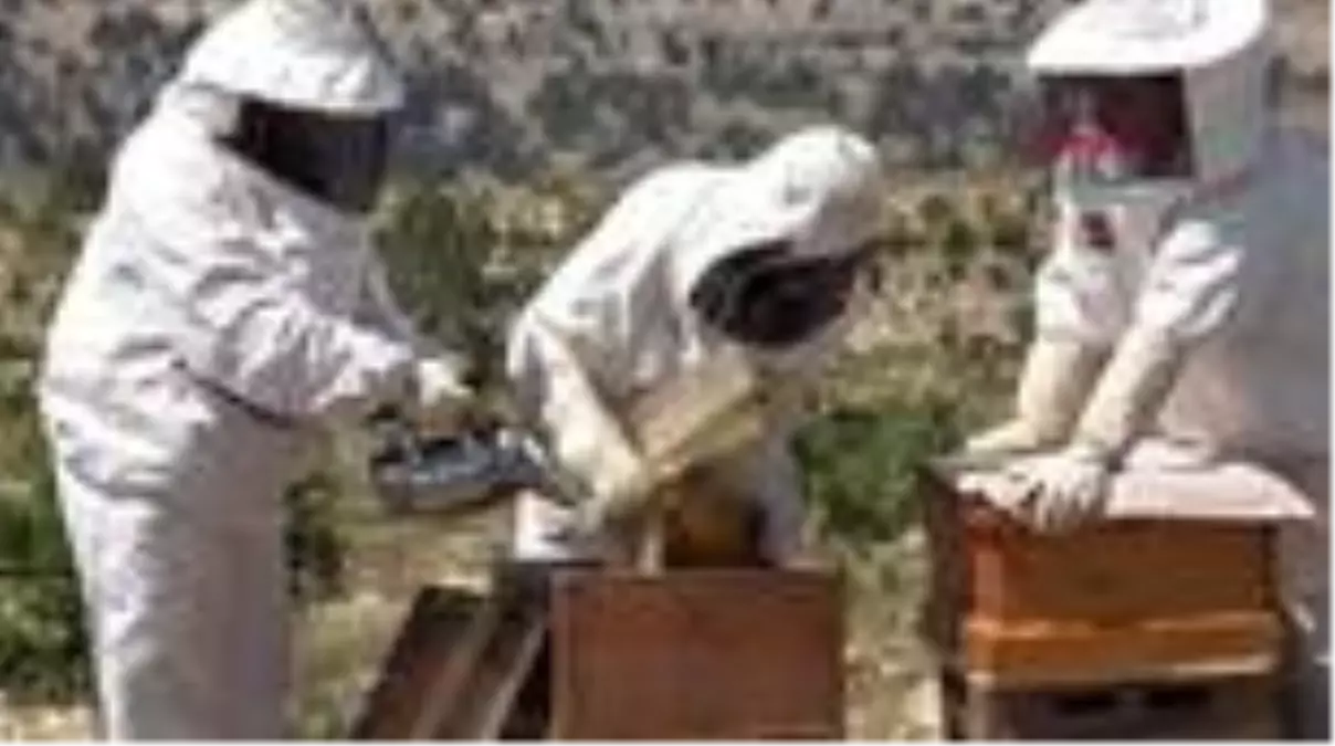 Uzmanlardan 'sahte bal' uyarısı