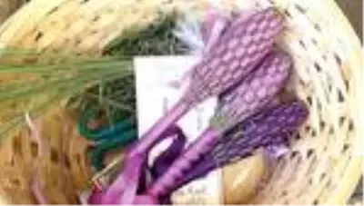 Adalar'dan bir kalp gelir bizlere Adalar'dan bir kalp gelir bizlere